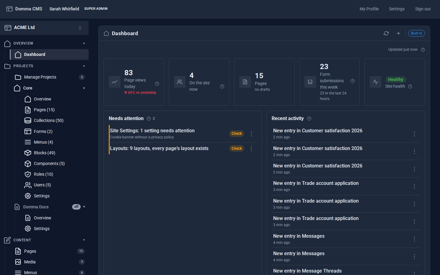 The Dashboard: page views today, visitors now, pages, form submissions this week, site health, a Needs attention list and recent activity